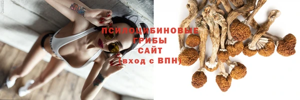 ПСИЛОЦИБИНОВЫЕ ГРИБЫ Карпинск