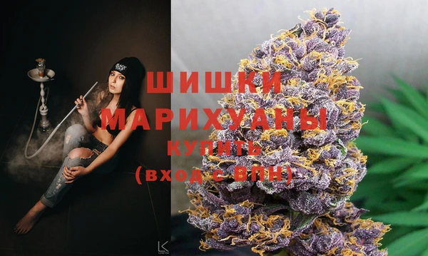 ПСИЛОЦИБИНОВЫЕ ГРИБЫ Карпинск