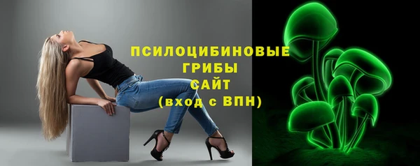 ПСИЛОЦИБИНОВЫЕ ГРИБЫ Карпинск