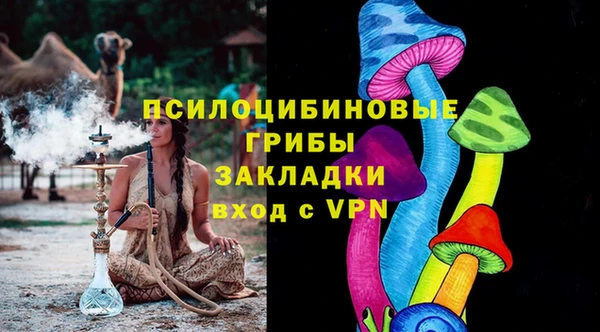 ПСИЛОЦИБИНОВЫЕ ГРИБЫ Карпинск