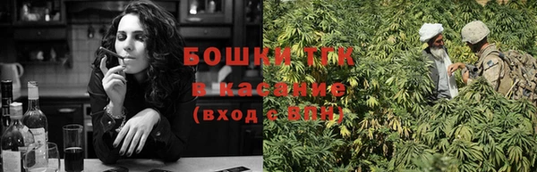 молекула духа Касимов