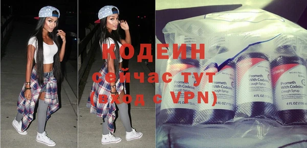 молекула духа Касимов