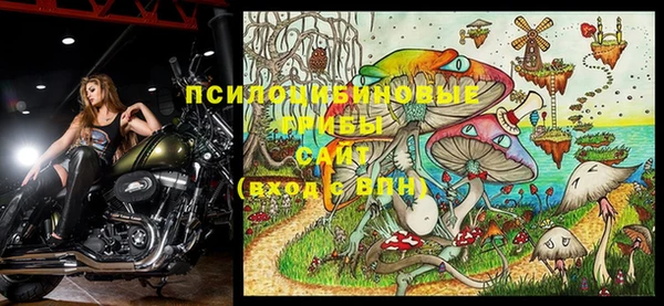 ПСИЛОЦИБИНОВЫЕ ГРИБЫ Карпинск
