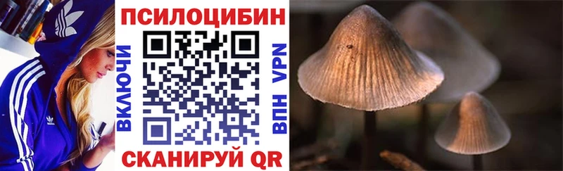 Купить где  Егорьевск  Галлюциногенные грибы мухоморы 