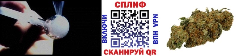 Каннабис MAZAR Егорьевск